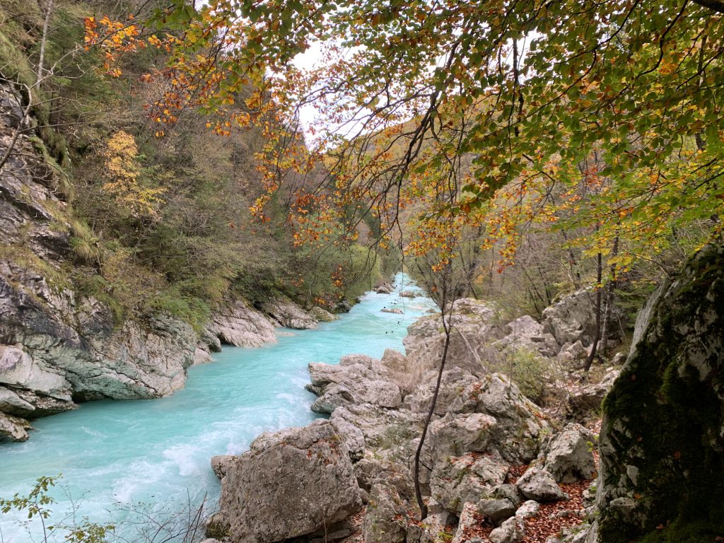 bovec